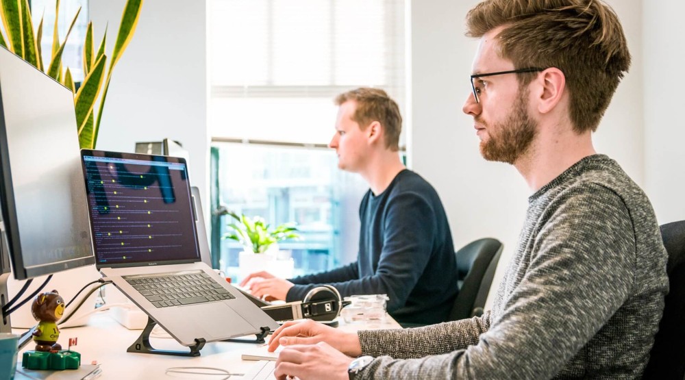 Two people in a office researching how a 1800 phone number will help their business
